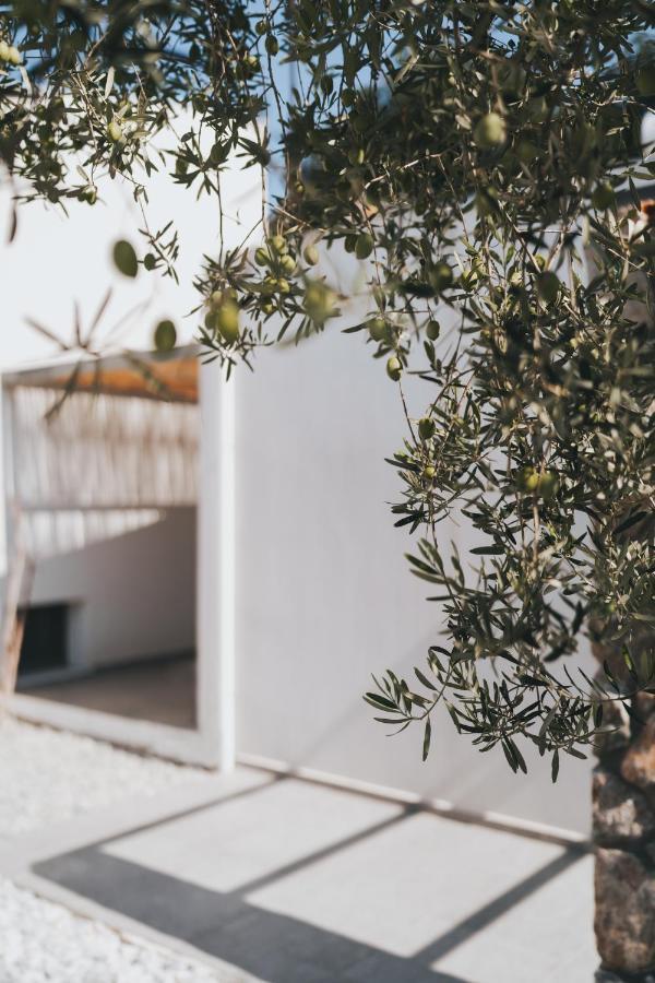 Octo Villas Complex Nea Iraklitsa Екстериор снимка